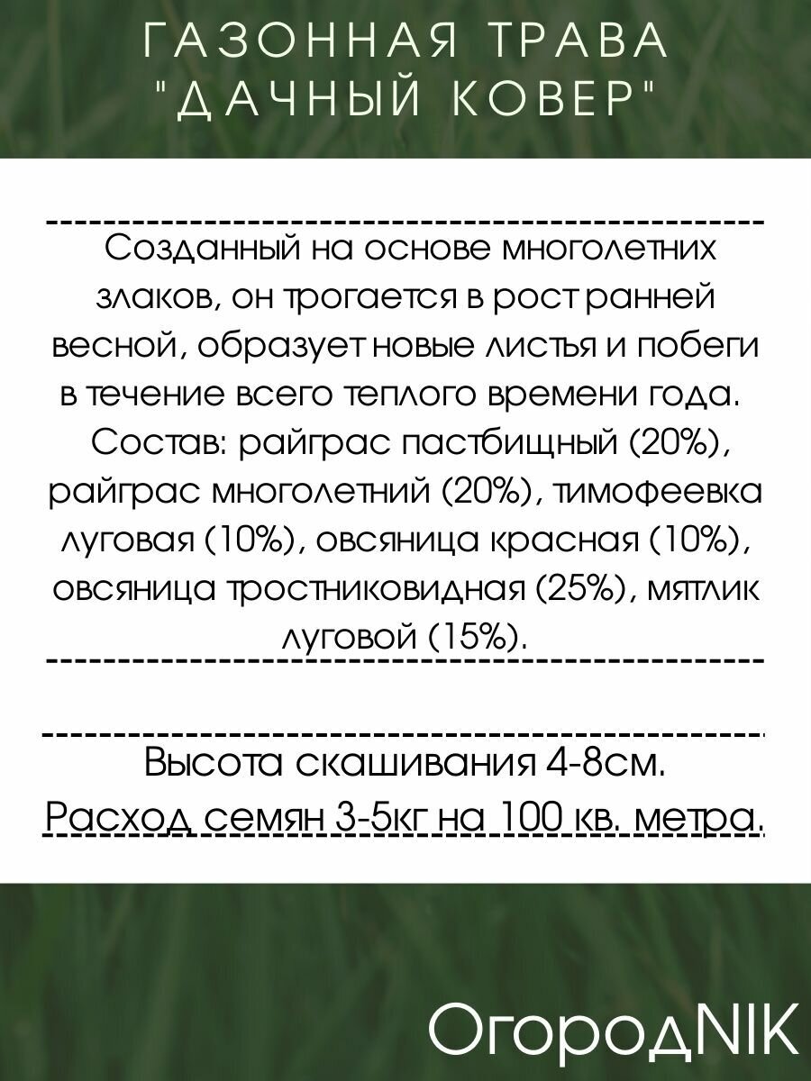 Газонная Трава "Дачный Ковер 100 грамм