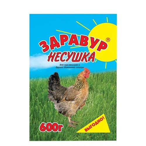 Кормовая добавка АСКОР Несушка 600 г 600 мл