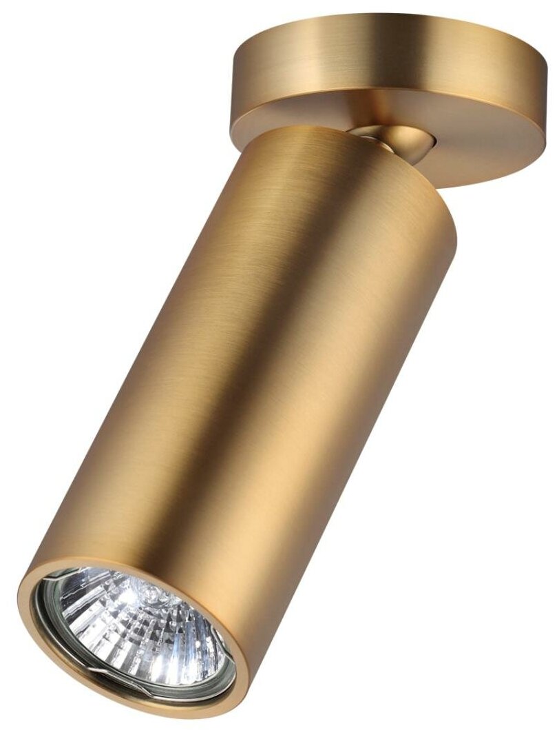 Потолочный накладной светильник ODEON LIGHT NINO 4279/1C GU10 50W золотистый