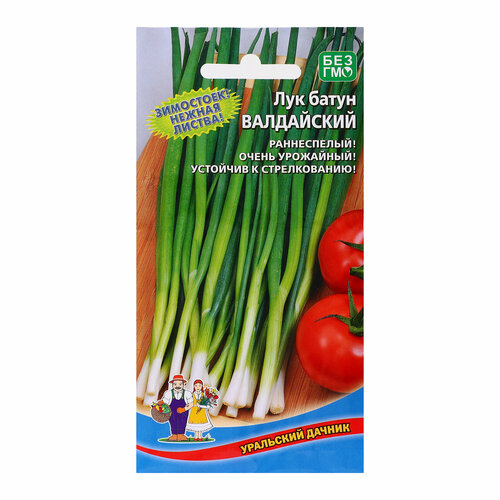 Семена Лук Валдайский, 0,5 г баклажаны валдайский погребок по болгарски 450 г
