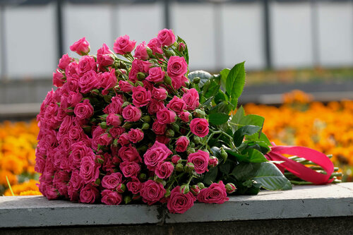 Изображение товара Букет из 25 кустовых роз