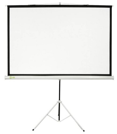 Экран Cactus 150x150см Triscreen CS-PST-150x150 1:1 напольный рулонный