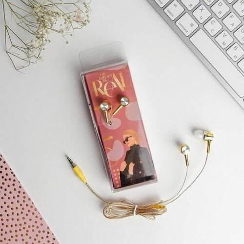 Наушники проводные в коробке The dream is real вакуумные 135 x 52 см 19900₽