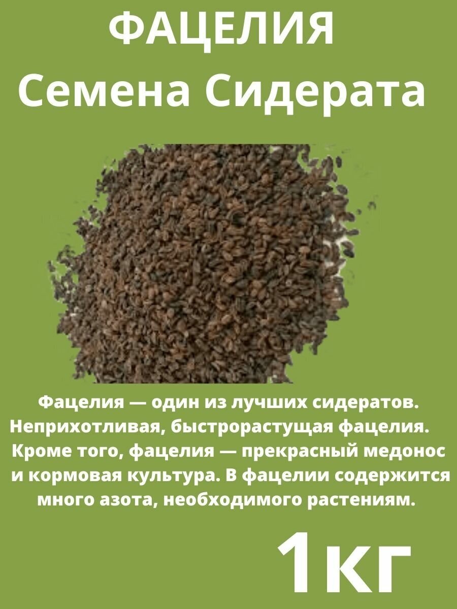 Семена Сидерат Фацелия 1 кг