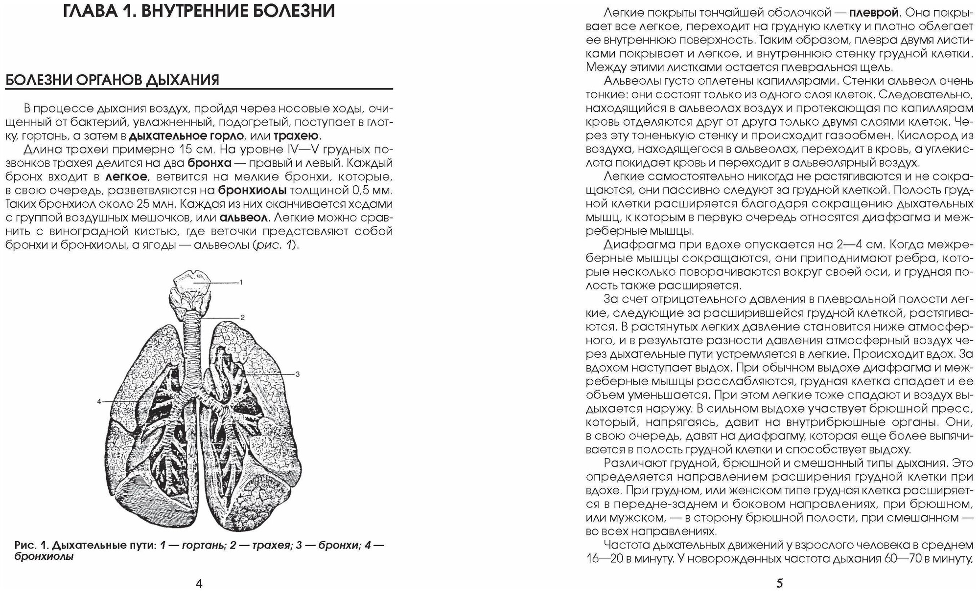 Медицинская энциклопедия (Орлова Любовь) - фото №11