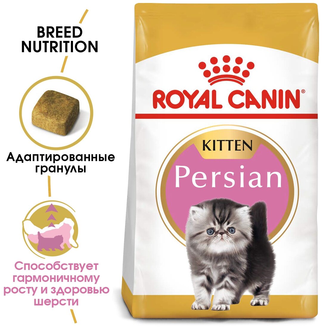 Корм Royal Canin Persian KITTEN для котят персидских пород до 12 мес., 10 кг - фотография № 11