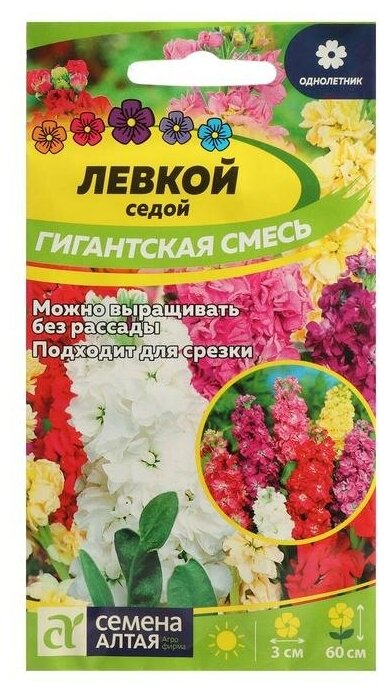 Семена цветов Левкой 