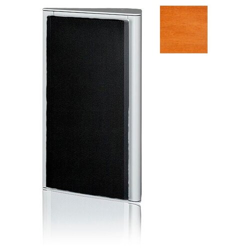 Настенная акустика Piega AP 3 Coated Golden Oak Mattdecoral alublack 11000000₽