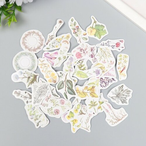 Наклейки для творчества Лесные цветы набор 45 шт 44х44х11 см для дома 599₽