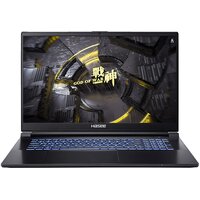 Ноутбук HASEE G8-DA7NP G8-DA7NP (17.3", Core i7 12700H, 16Gb/ SSD 512Gb, GeForce® RTX 3060 для ноутбуков) Черный