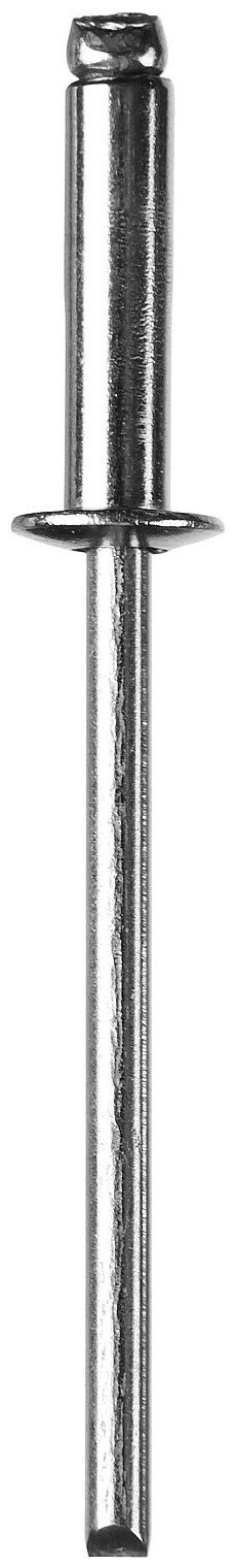 ЗУБР 3.2 x 8 мм, 50 шт, нержавеющие заклепки, Профессионал (313166-32-08)