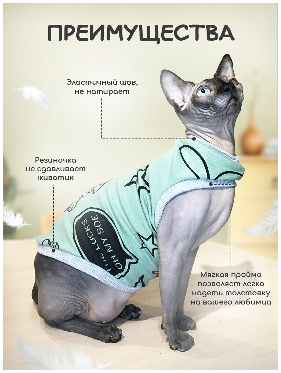 Одежда для животных кошек сфинкс и собак мелких пород - фотография № 3
