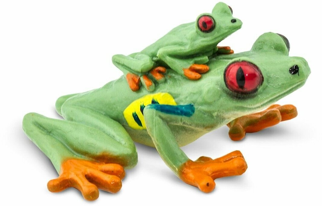 Фигурка лягушки Safari Ltd Красноглазая квакша, для детей, игрушка коллекционная, 100120