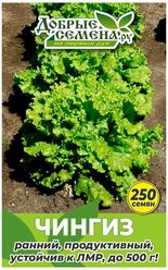 Семена салата Чингиз - 250 шт - Добрые Семена.ру