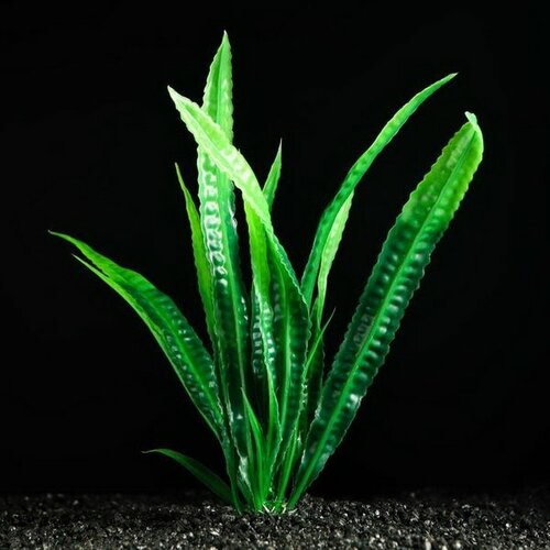 Растение искусственное аквариумное, 4 x 20 см, зелёное, 5 шт.