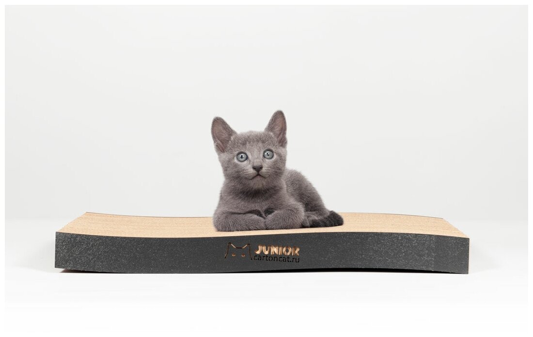 Когтеточка для котят Carton Cat Junior Curve black, цвет: черный , 40 х 20 х 4 см