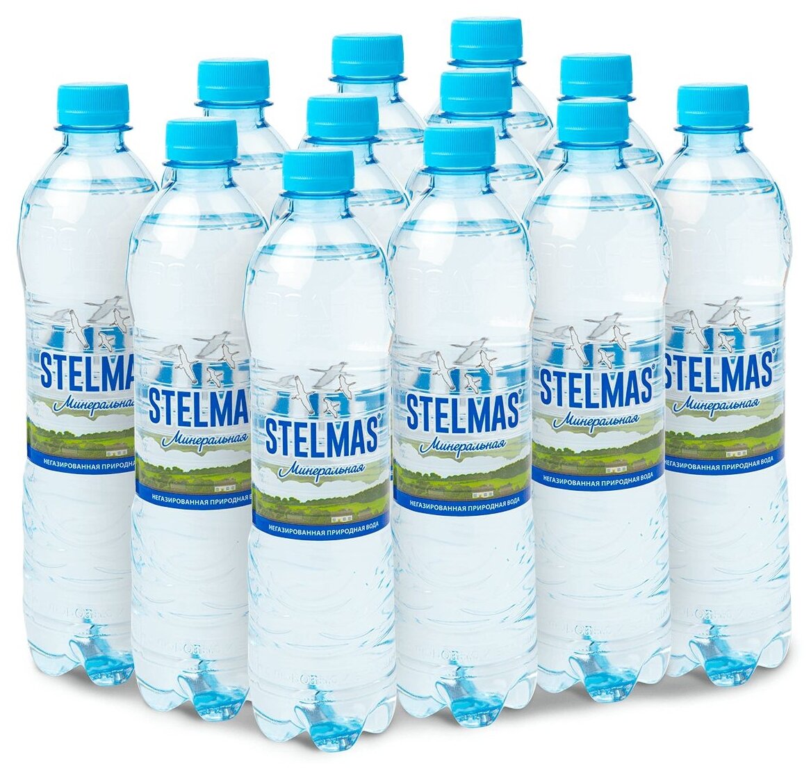 Вода минеральная Stelmas негазированная, ПЭТ, 0.6 л*12 шт в уп - фотография № 1