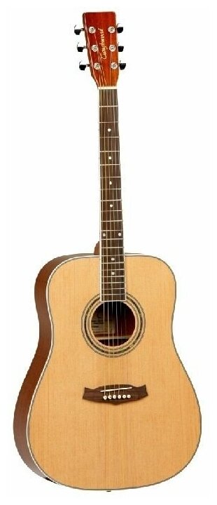 Акустическая гитара TangleWood DBT-DLX-D