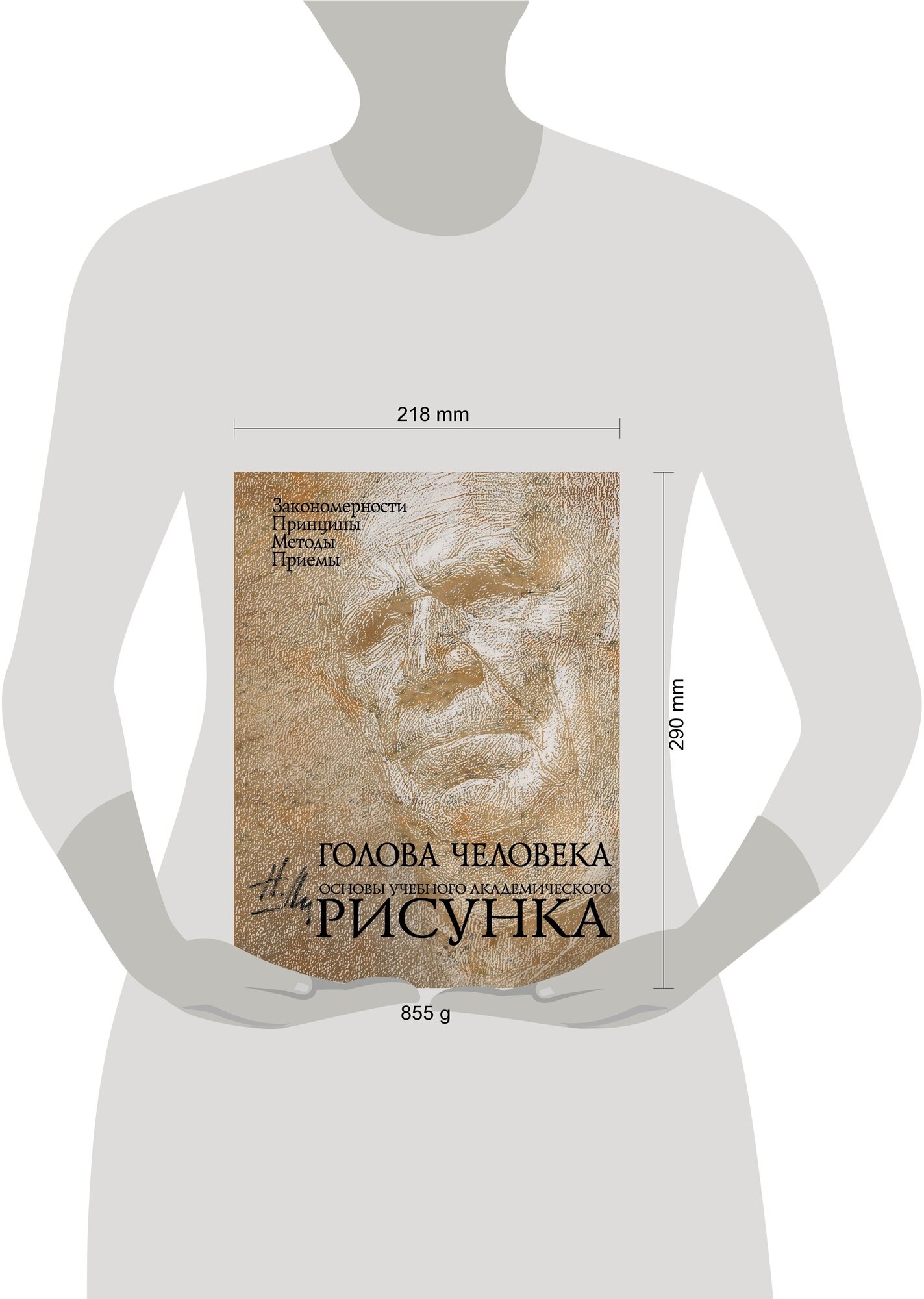 Голова человека. Основы учебного академического рисунка - фото №7