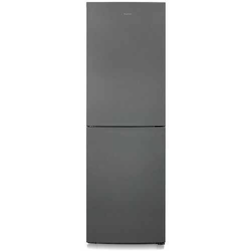 Холодильник Бирюса W6031