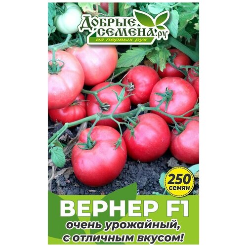 Семена томата Вернер F1 - 250 шт - Добрые Семена. ру семена томата куро суджи f1 250 шт добрые семена ру