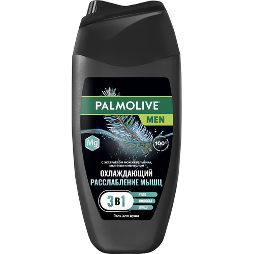 Гель для душа мужской Palmolive MEN Охлаждающий Расслабление Мышц 4 в 1 для тела, волос, лица и бороды, 250 мл гель для душа мужской palmolive men расслабление мышц охлаждающий 250мл 2 шт