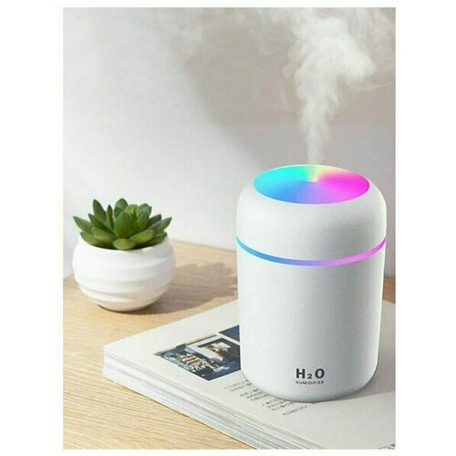 Увлажнитель воздуха портативный 89900₽