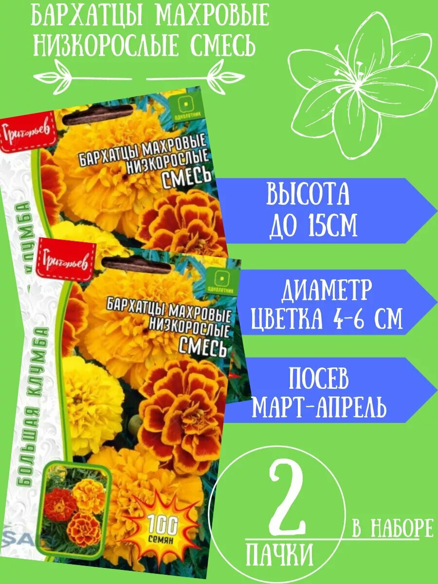 Бархатцы Низкорослые Смесь,2 упаковки