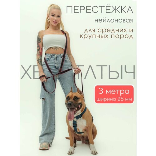 Перестежка для собак PRO прошитая нейлон 3 м х 25 мм (черно-красный)