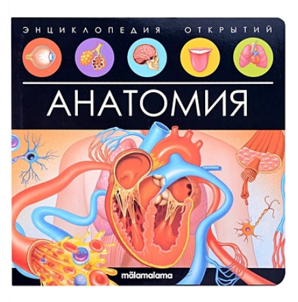 Энциклопедия открытий «Анатомия» с pop-up, 3D-иллюстрации, обучение для детей 5+, Malamalama — фото 1