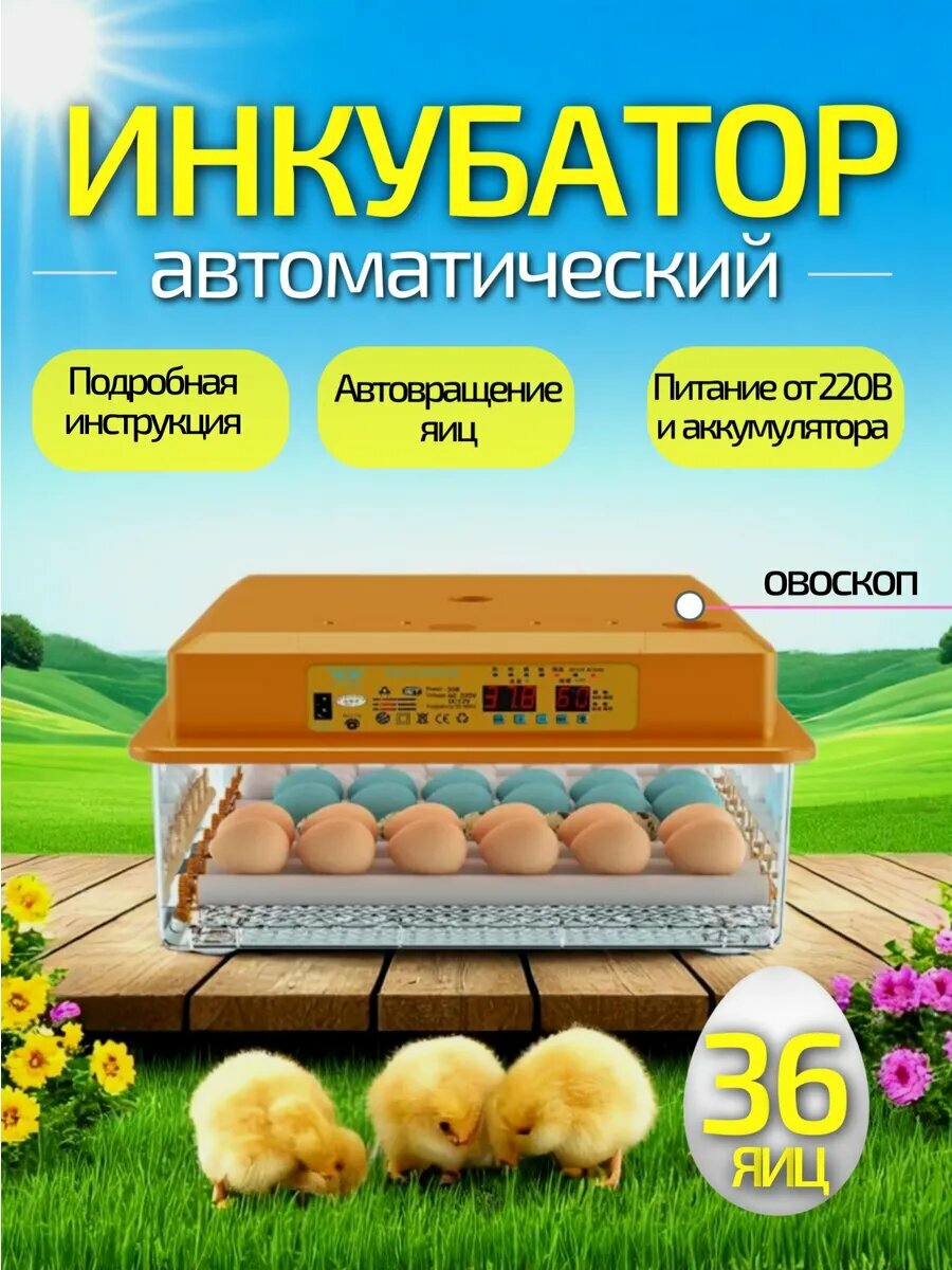 Инкубатор автоматический с терморегулятором 36 куриных яиц