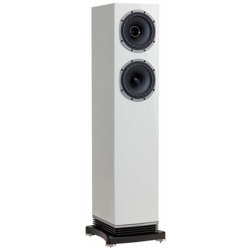 Акустическая система Fyne Audio F501 белый лак fyne audio f3 10 black ash