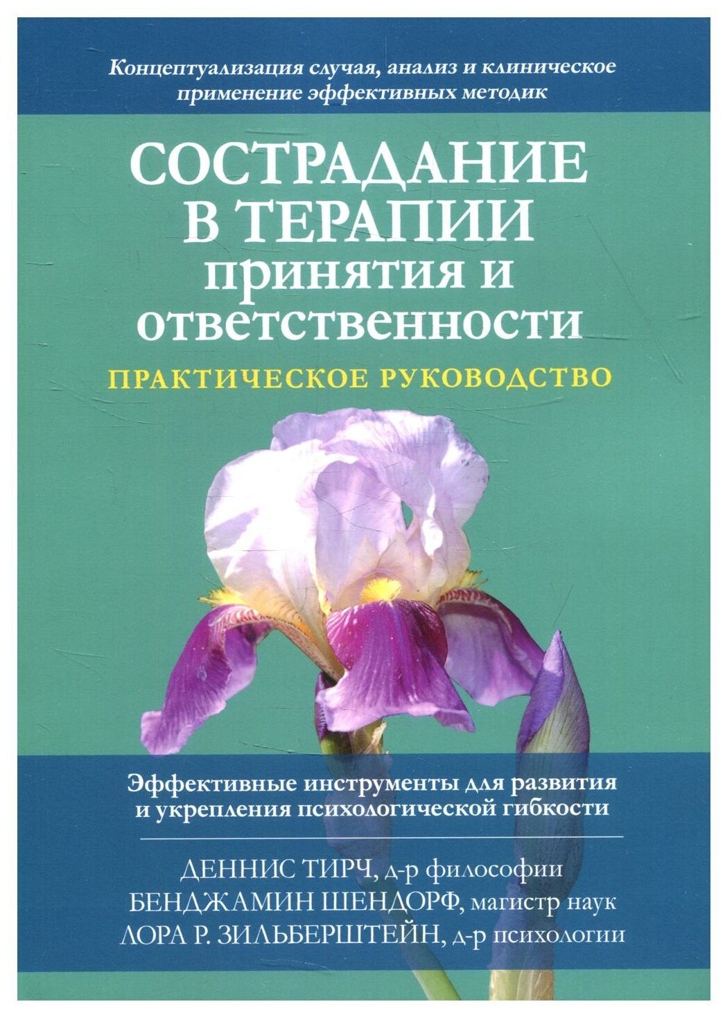 Сострадание в терапии принятия и ответственности. Практическое руководство - фото №1