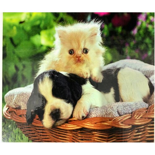 Алмазная мозаика 40*50 круглые стразы полная выкладка «Пушистые друзья»