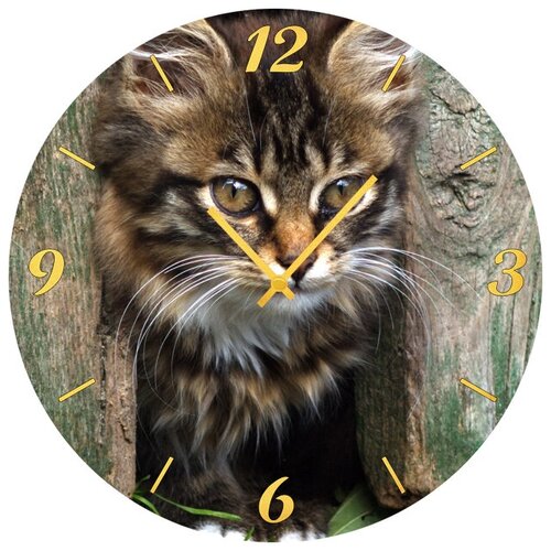 фото Svs настенные часы svs 3501841 котик