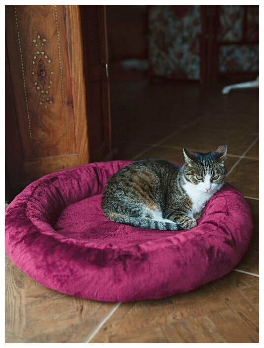 Лежак для животных KiS, МОД 0044К, бордовый - фотография № 4