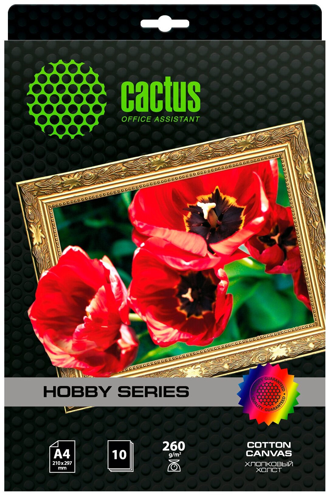 Холст Cactus CS-CA426010 A4 260г/м2 10л.