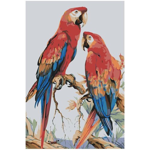 Картина по номерам «Попугаи», 40x60 см, Живопись по Номерам картина по номерам яркие попугаи 40x50 см