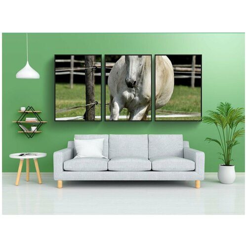 фото Набор модулных постеров для интерьера "плесень, лошадь, любовь к животным" 60x90 см. в тубусе, без рамки lotsprints