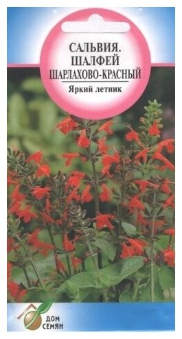 Сальвия Шалфей красная 110 семян