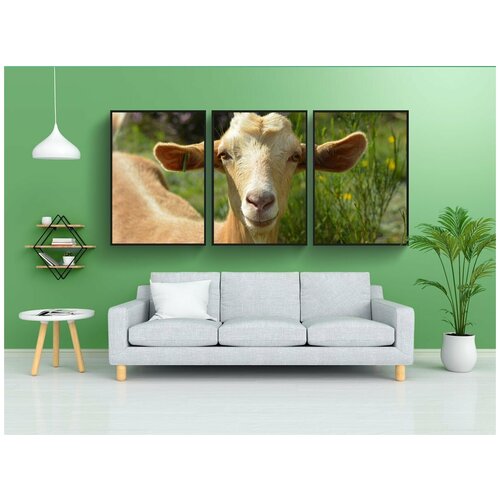 фото Набор модулных постеров для интерьера "козел, желание, коз портрет" 60x90 см. в тубусе, без рамки lotsprints