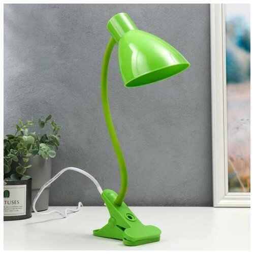 RISALUX Настольная лампа 16700/1GR Е27 15Вт зеленый