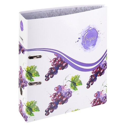 Папка-регистратор ВКФ Фрукты 75 мм, А4 несъемный арочный механизм Expert Complete (254171)