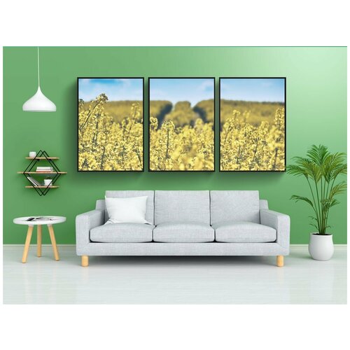 фото Набор модулных постеров для интерьера "поле рапса, рапса, цветы" 60x90 см. в тубусе, без рамки lotsprints