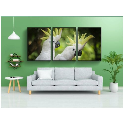 фото Набор модулных постеров для интерьера "птица, белый, попугай" 60x90 см. в тубусе, без рамки lotsprints