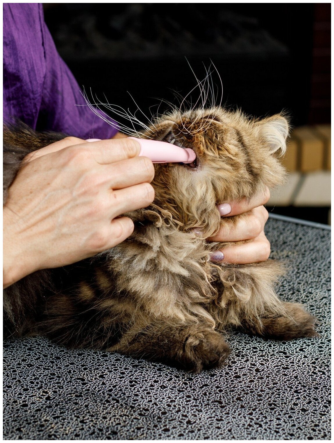 Japan Premium Pet Зубная щетка анатомическая силиконовая для мелких собак и кошек - фотография № 15