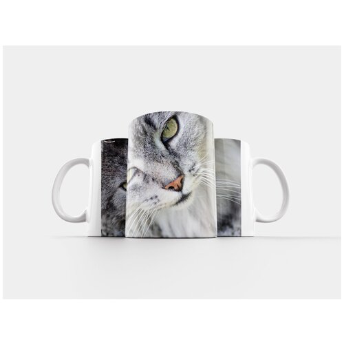 фото Кружка "кот, уставиться на, шерсть" 320 мл lotsprints