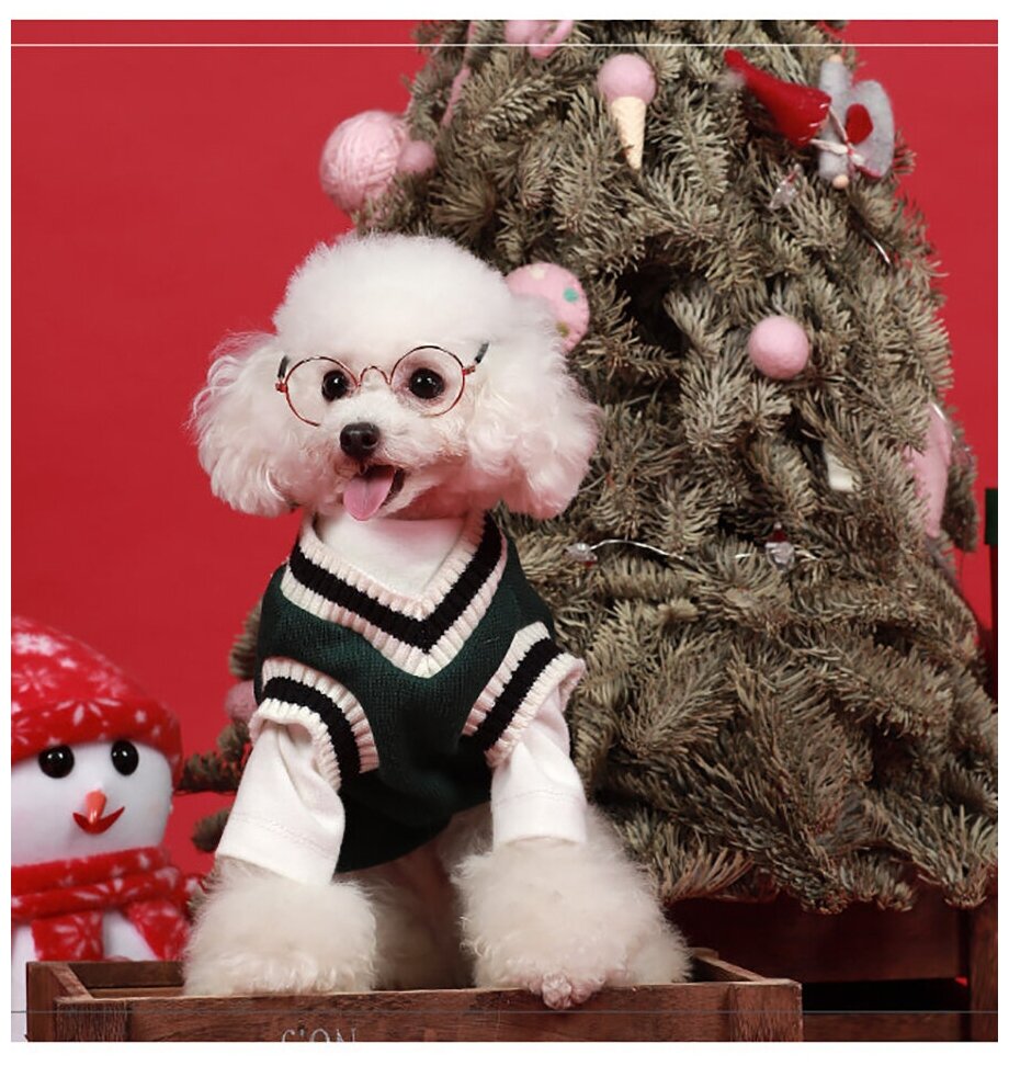 Теплый свитер для собак зелёный модный (Размер: M) окружность шеи 26 см ; грудь собаки 37 см; Длина спинки 25 см;