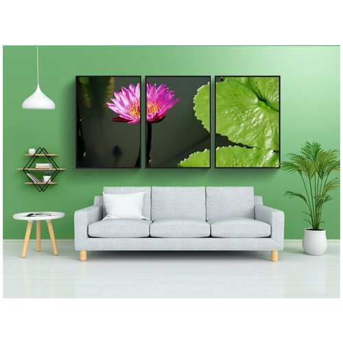 фото Набор модулных постеров для интерьера "лотос, пруд, лист" 60x90 см. в тубусе, без рамки lotsprints