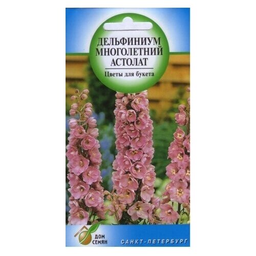 Дельфиниум многолетний Астолат, 35 семян колокольчик многолетний симфония розовый 180 семян